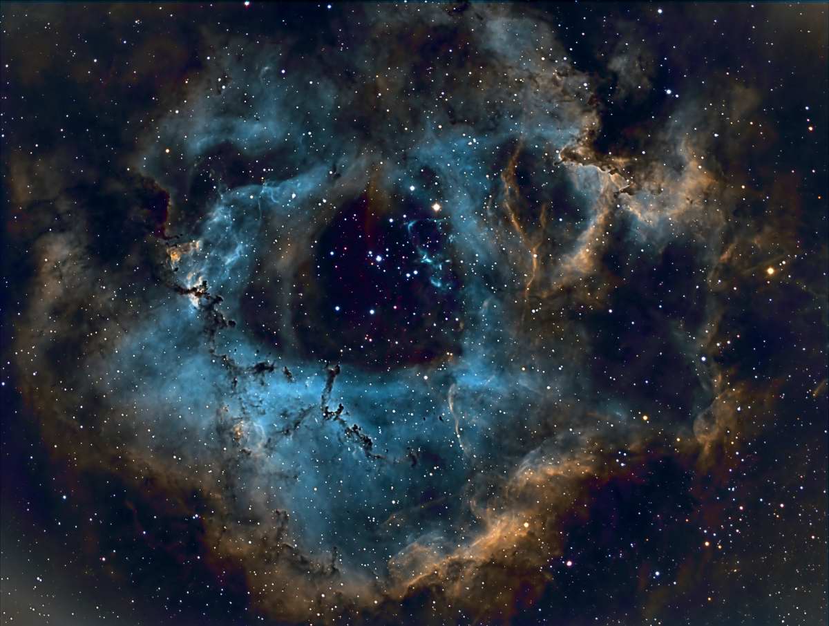 Rosette Nebula by Dennis Roscoe 